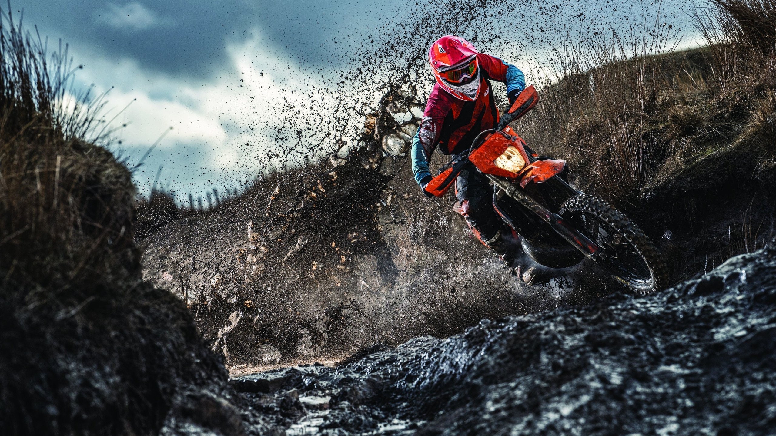 开云体育平台APP-当猛龙掠过神州—西亚卡姆火箭升空般征服辽宁